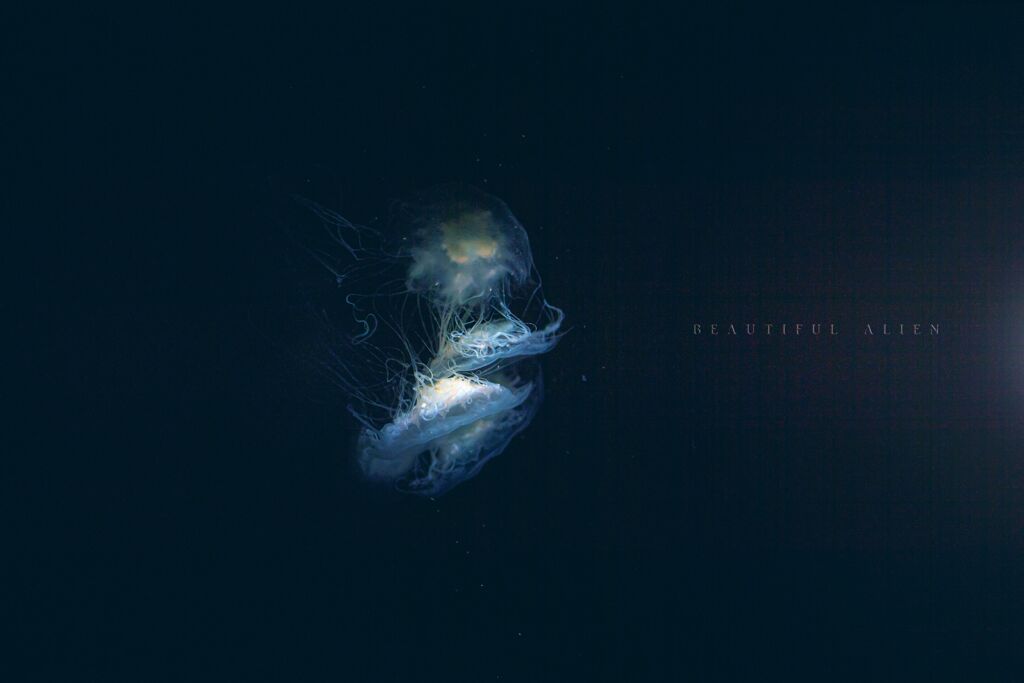 beautiful alien