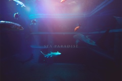 sea paradise