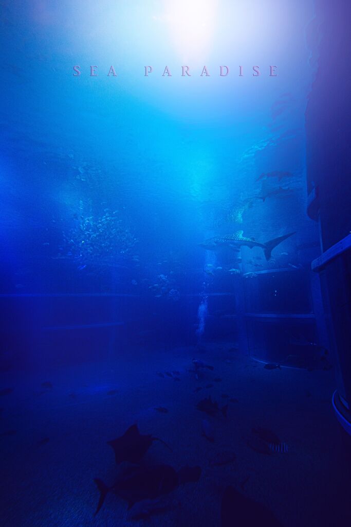 sea paradise
