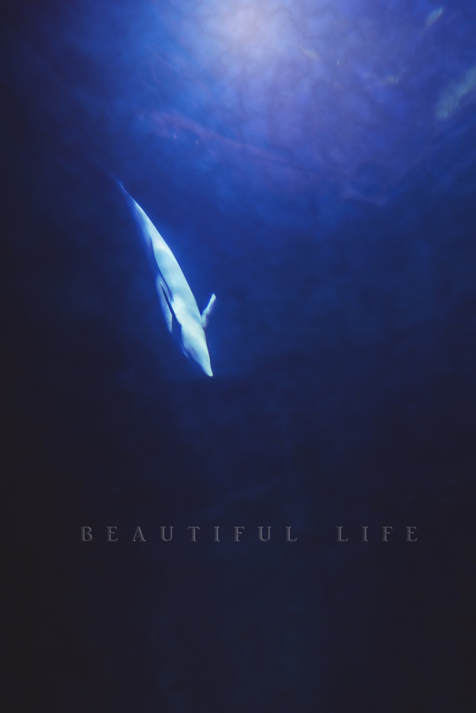 beautiful life