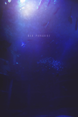 sea paradise