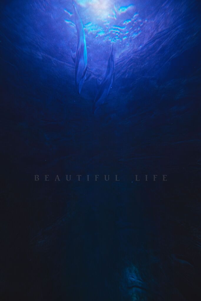 beautiful life