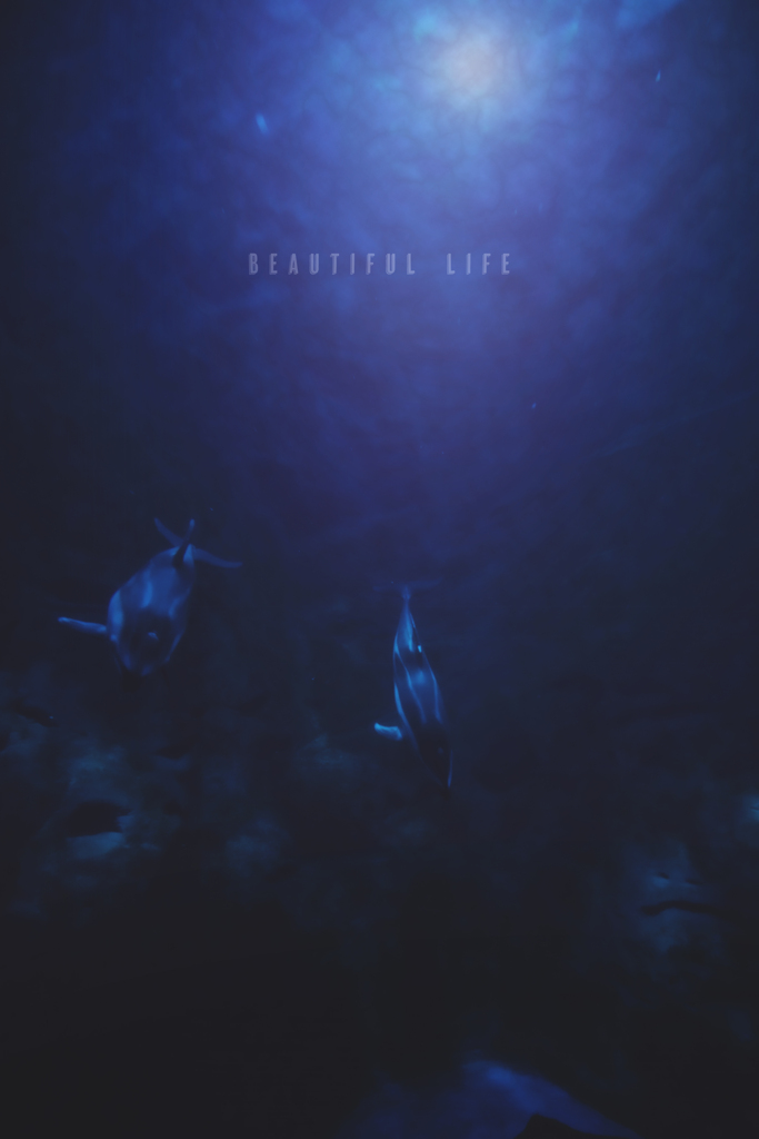 beautiful life
