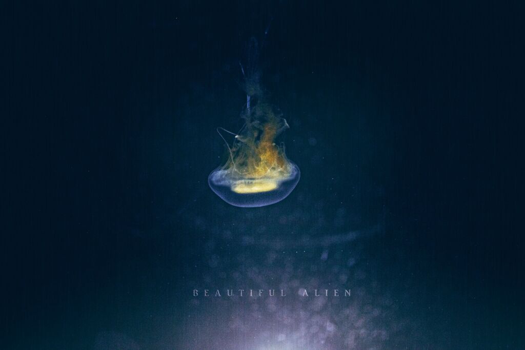 beautiful alien