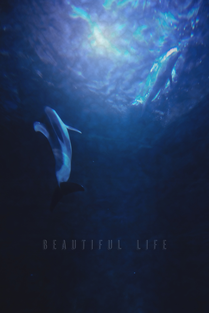 beautiful life