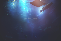 sea paradise