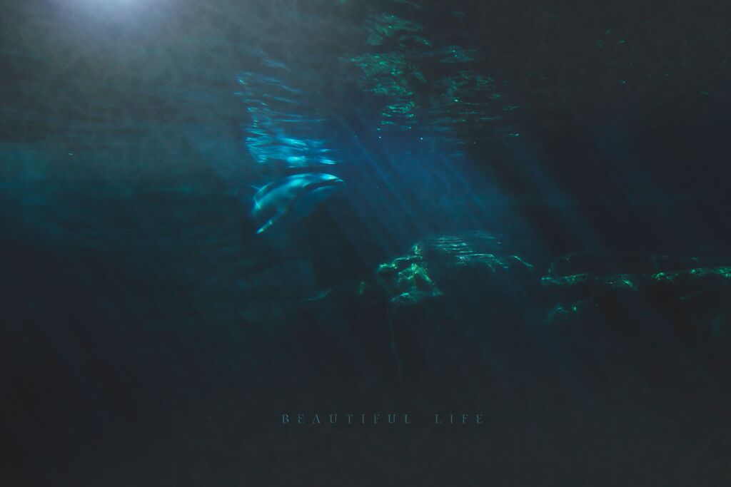 beautiful life
