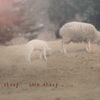 one sheep two sheep...