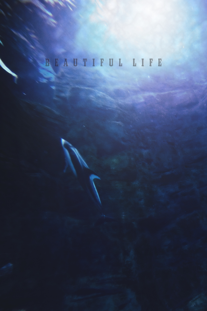 beautiful life