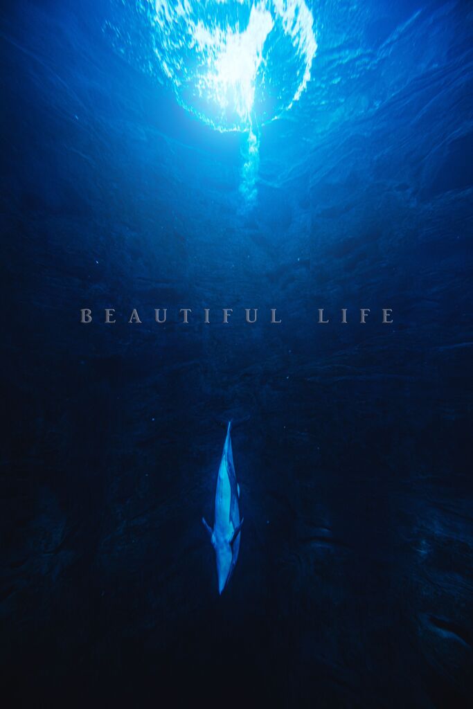 beautiful life