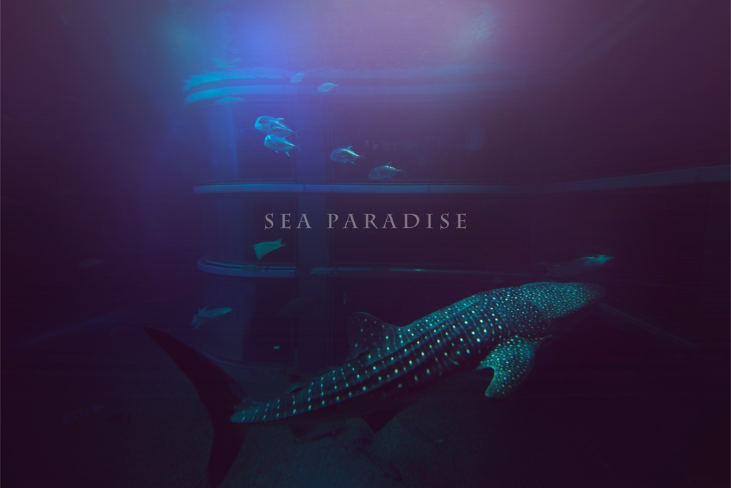 sea paradise