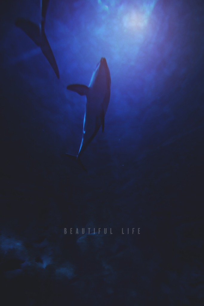 beautiful life