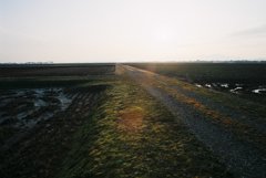 田んぼ道。