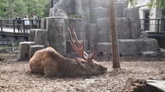 旭山動物園