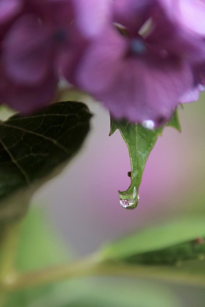雨上がり