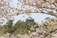 岡崎城