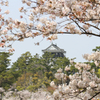 岡崎城
