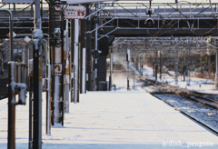 雪のホーム