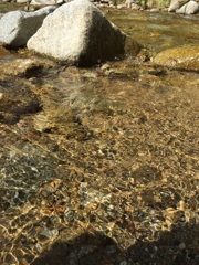 水面