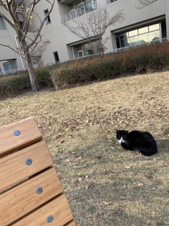 日向ぼっこ