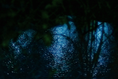 夜の森の奥の光る湖