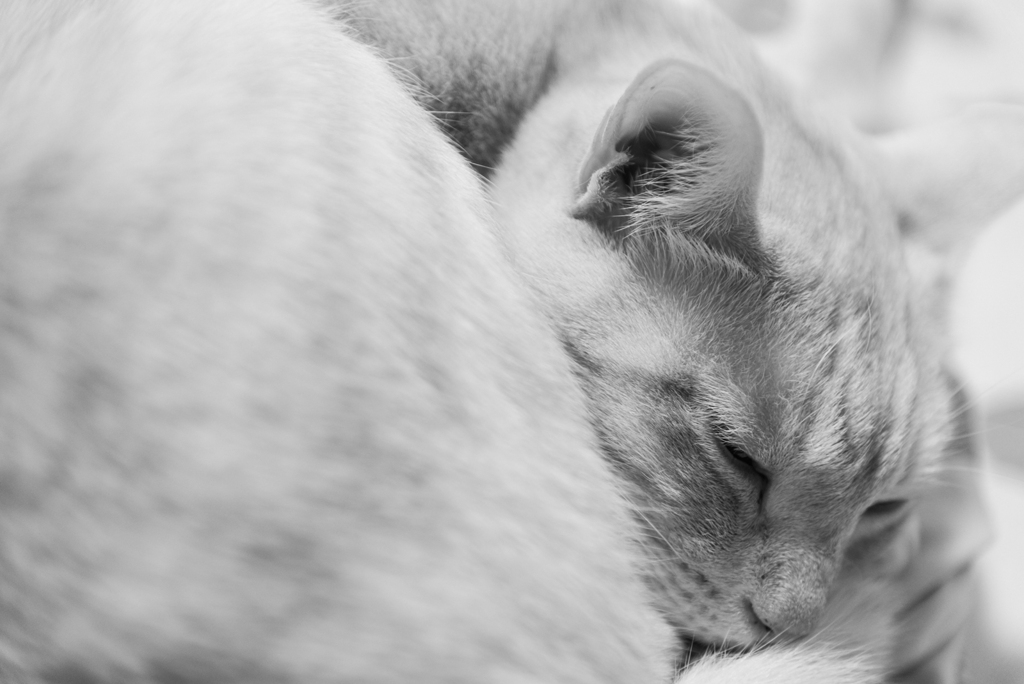 眠るまでⅢ