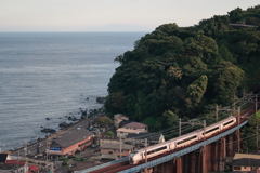 Rapid IZU CRAILE