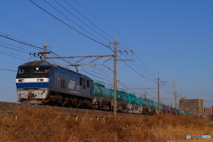 ヒガウラの日常風景２