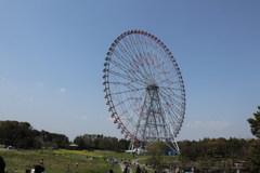 20190327121122_IMG_1783