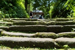 鎌倉 浄智寺