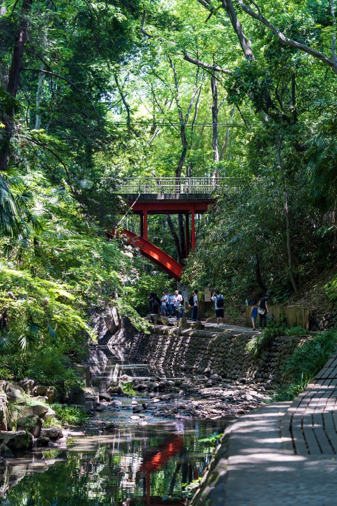 等々力渓谷