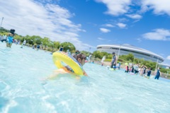 夏の思い出