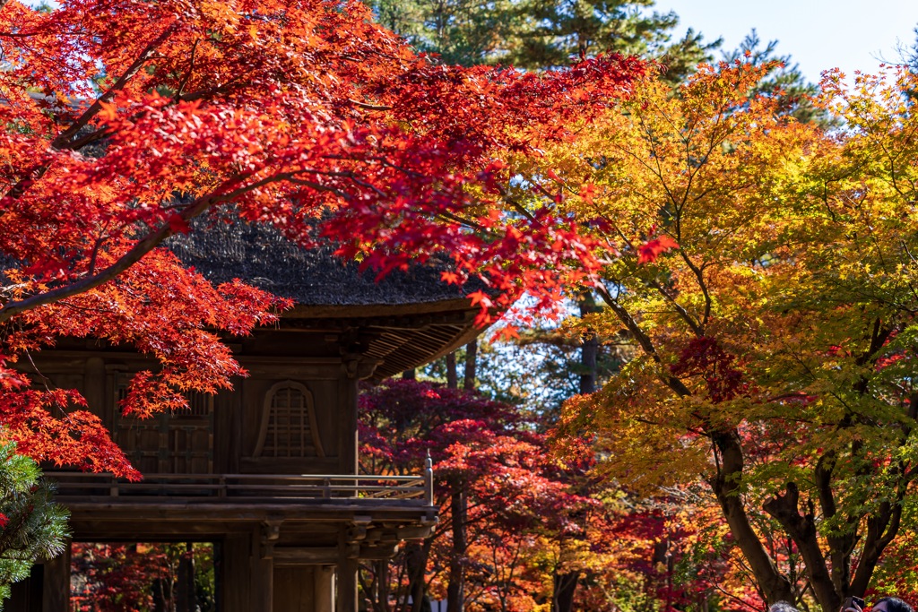 平林寺