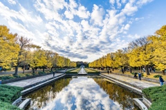 昭和記念公園