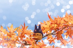 となりの、、