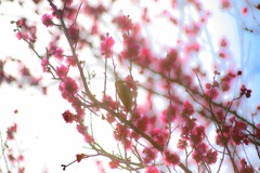588A7365-41E7-44B7-9AA1-53A98A311B0C