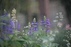 5DDD42EE-2B68-4601-B819-8F4B541F3ED6