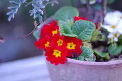 7D80DF75-4335-45EB-B618-36C071CD2966