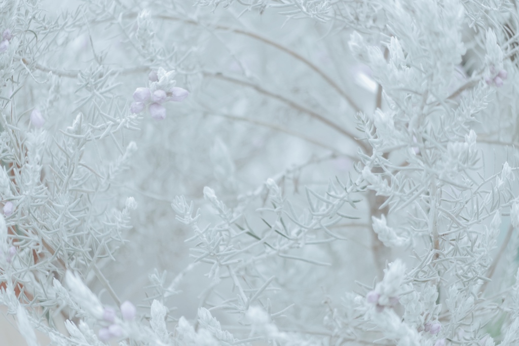 898C85FC-1534-4263-B01C-3A856FACEDD5