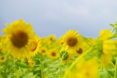BD8A295C-3883-40AF-A2C0-70D120675C3A