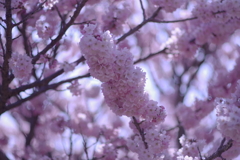 767B90FA-FF15-4837-926D-74D72C32E2B2