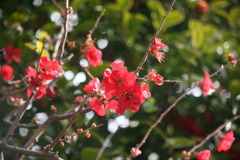 1FA1A883-34E6-4B6B-AAAA-49B2CB36BCB8