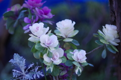12C0CB84-8F1E-4502-8E8D-811C4D14410B