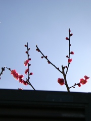 B8679604-46CB-4549-BDE5-732732E8C8CB