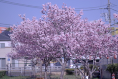8E5353FB-409E-4105-BC7A-D1DA02EC06B4