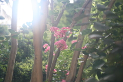 7F5F0D7C-C023-4134-8622-B03B69712BFB