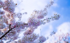 BCA29B24-24AF-4869-B525-C962AF780524