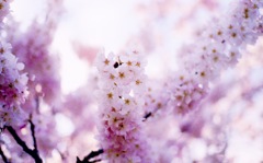 7131B390-72C1-4CC5-8A59-04B85C28B88B