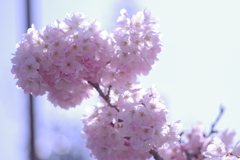 3B1C4736-8FF4-4EDD-BA1C-8EBF728BE7A0