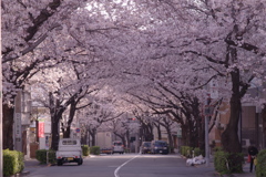 DA9F06B9-977B-452A-9D66-CD08011E3FF2